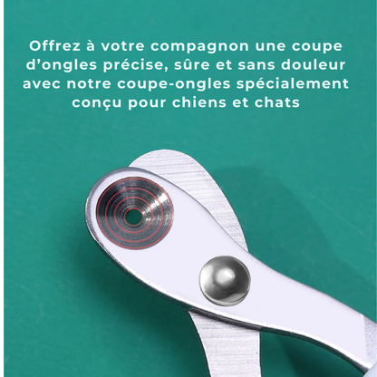 Coupe-ongles professionnel pour chat et chien de petite taille