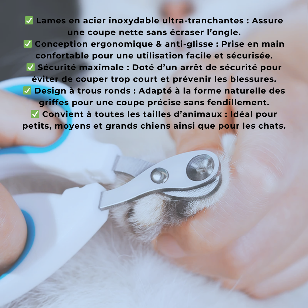 Coupe-ongles professionnel pour chat et chien de petite taille