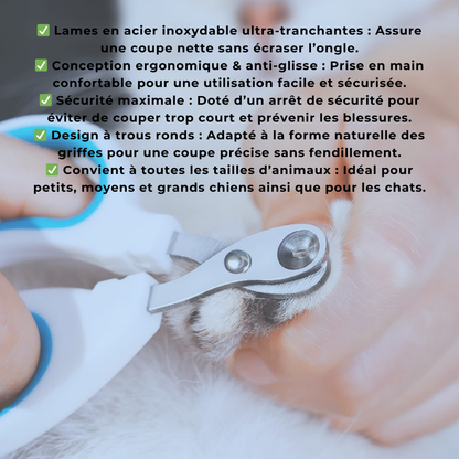 Coupe-ongles professionnel pour chat et chien de petite taille