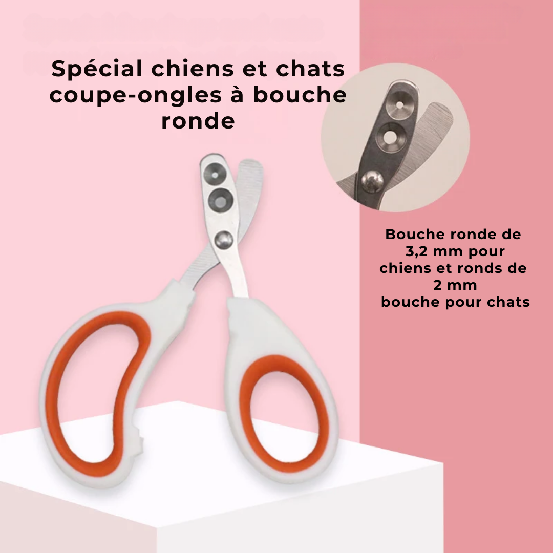 Coupe-ongles professionnel pour chat et chien de petite taille