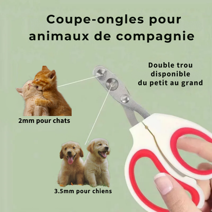 Coupe-ongles professionnel pour chat et chien de petite taille